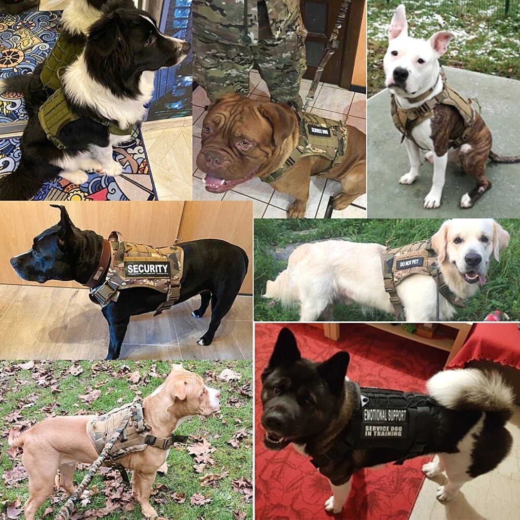Tactical Safety Dog Harness