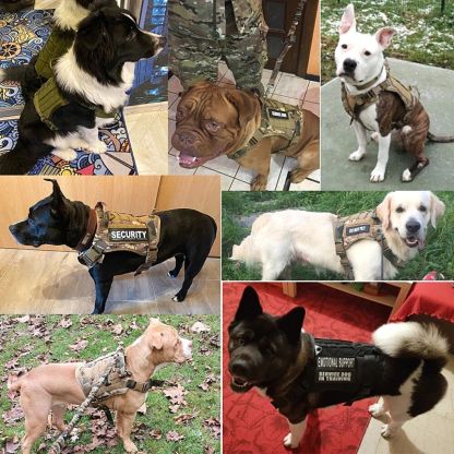 Tactical Safety Dog Harness