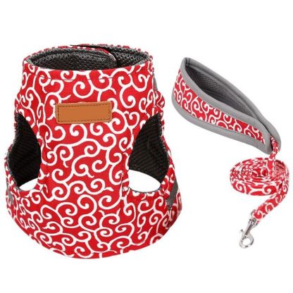 Purrfect Paws™ Cat Harness And Leash Set