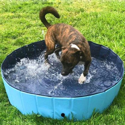 Paw Paradise™ Portable Dog Pool
