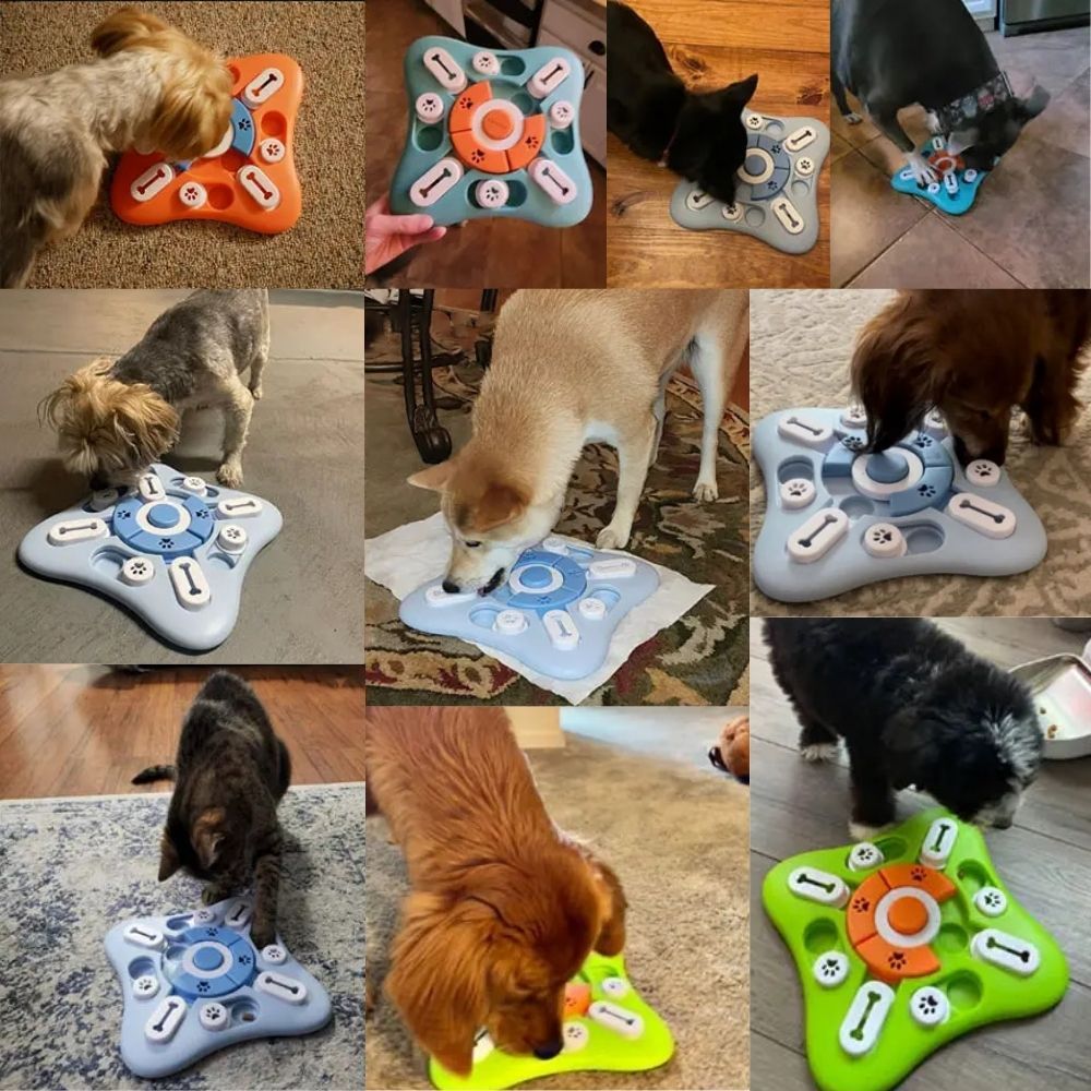 PawzzlePro™ Interactive Dog Puzzle