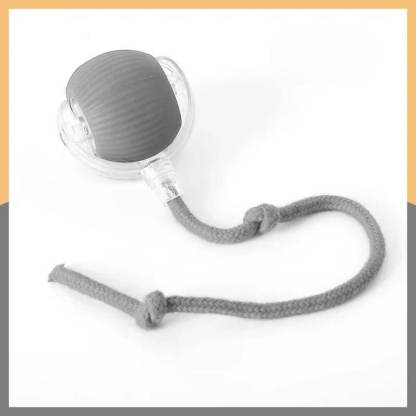 PouncePlay™ Smart Active Cat Toy