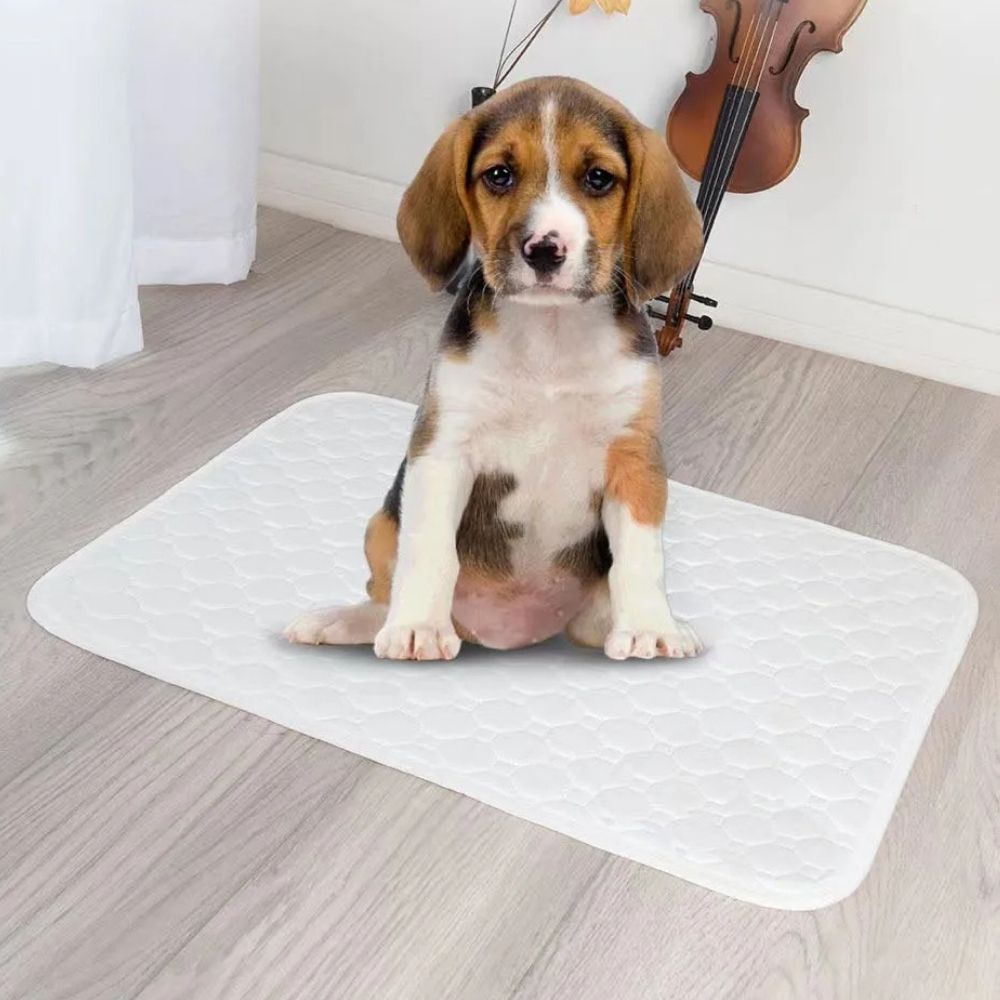 Potty Pal™ Reusable Pet Pads