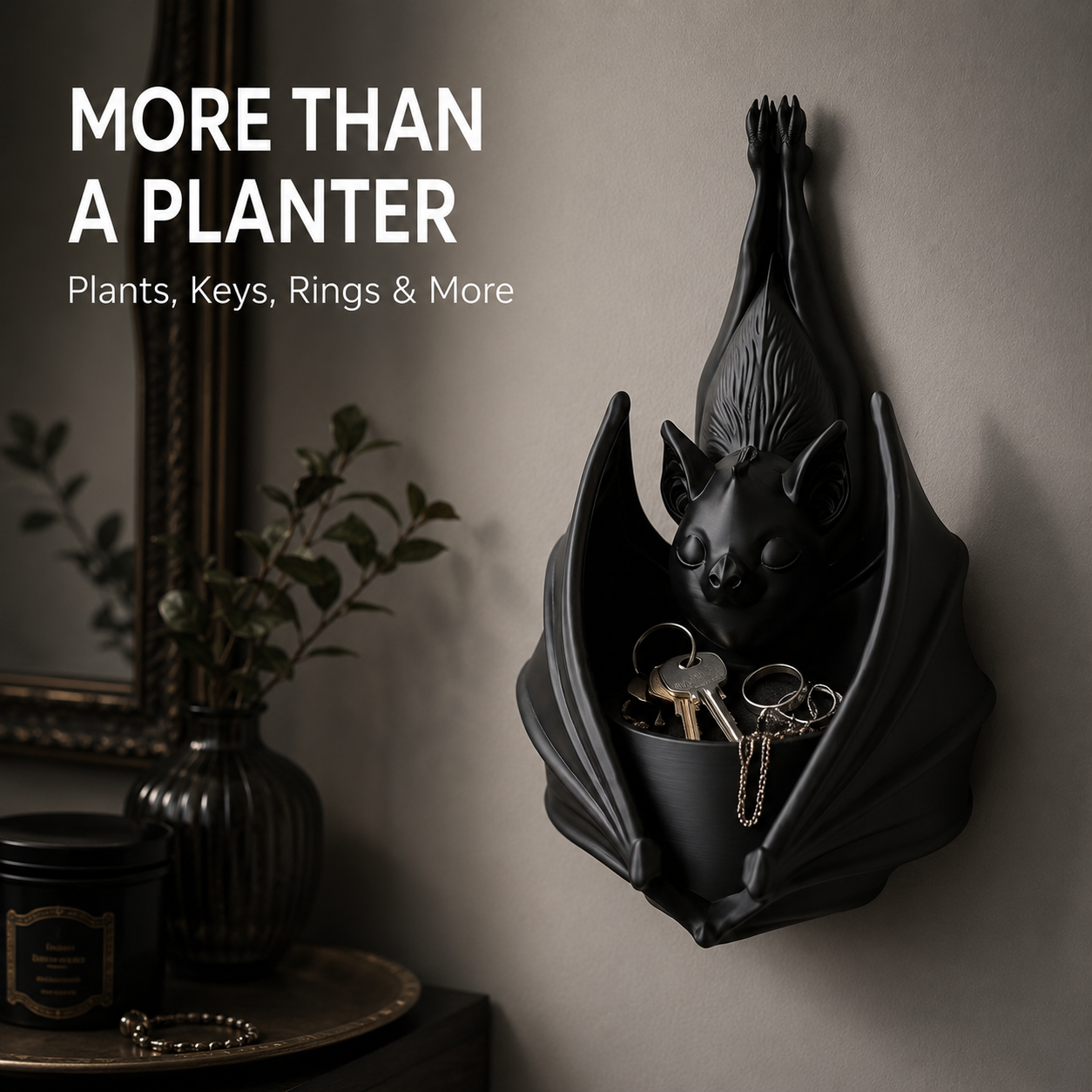 Close-up of green succulent resting inside black bat planter cavity