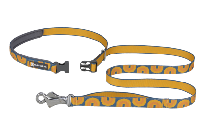 Crag™ Reflective Dog Leash
