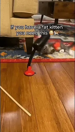 Cat boxing punching bag toy active play animation