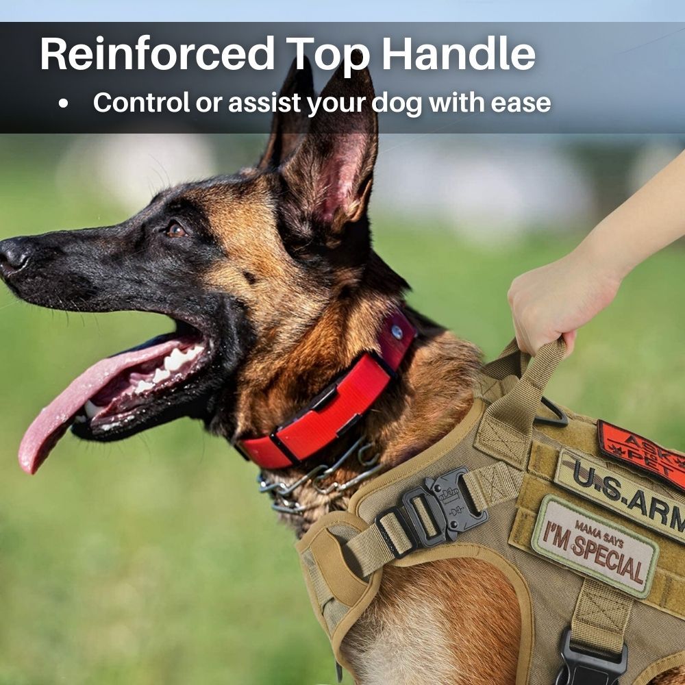 Control Companion Pro™ Tactical Dog Harness