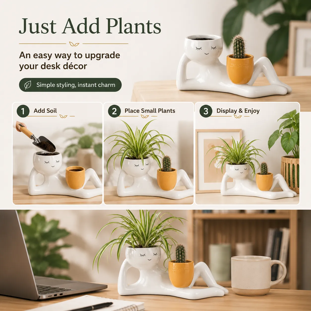 Compact Desktop Plant Holder