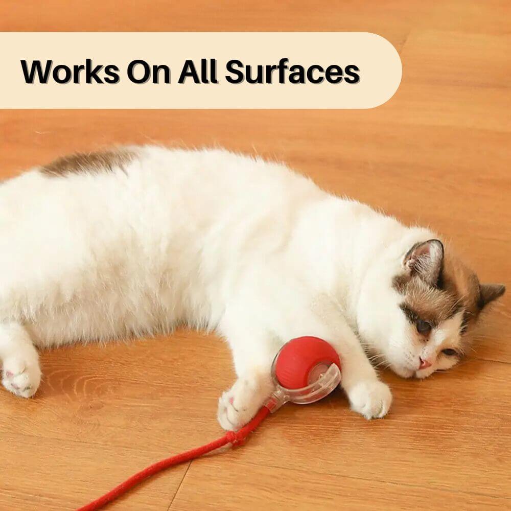PouncePlay™ Smart Active Cat Toy