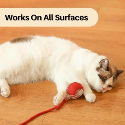 PouncePlay™ Smart Active Cat Toy