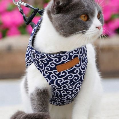 Purrfect Paws™ Cat Harness And Leash Set