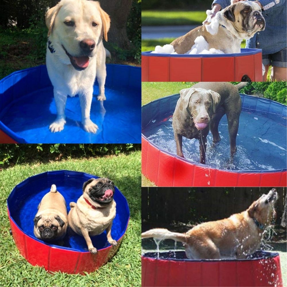Paw Paradise™ Portable Dog Pool