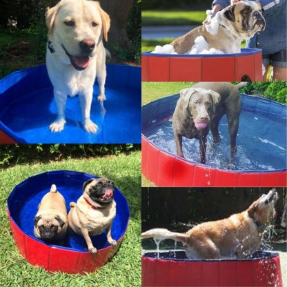 Paw Paradise™ Portable Dog Pool