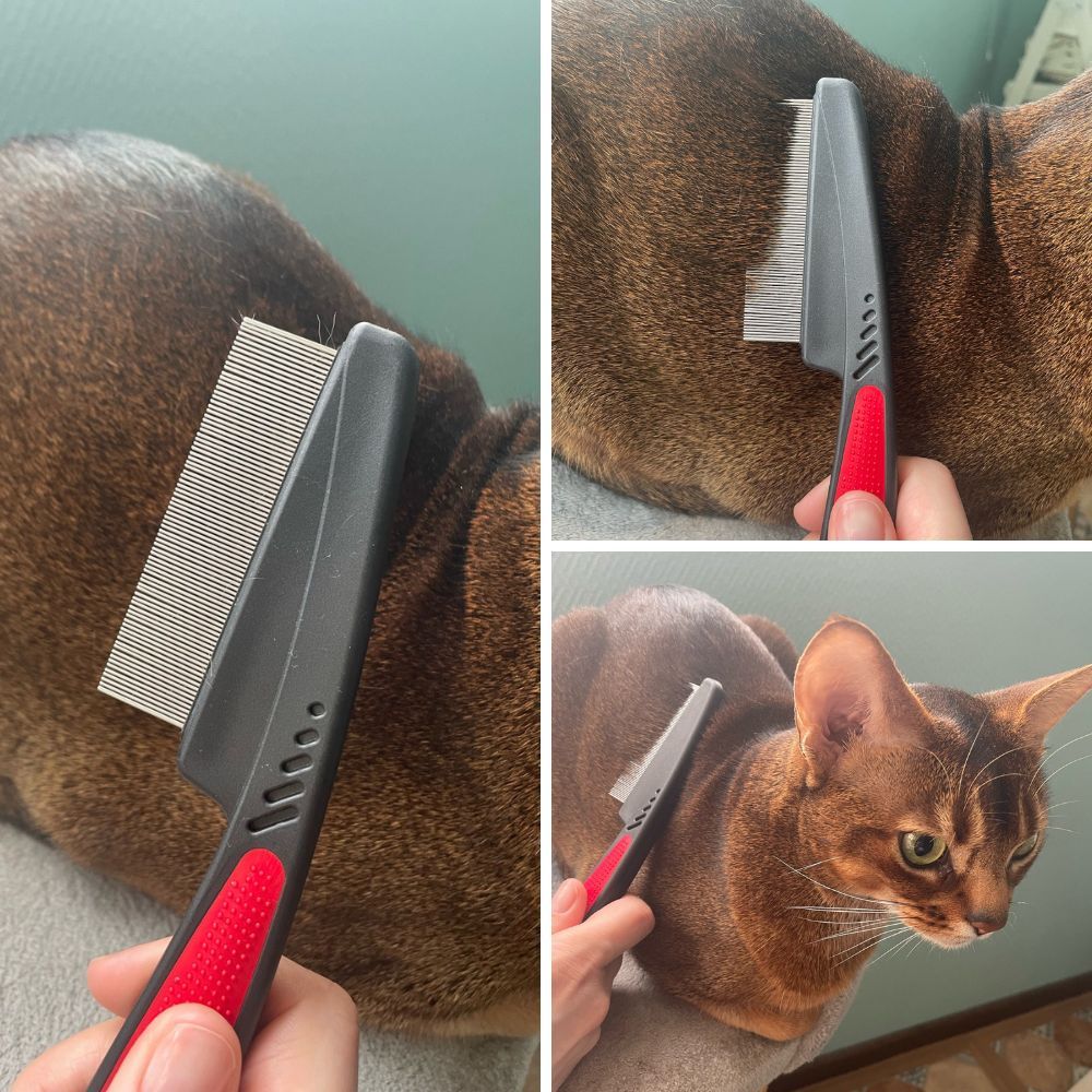 FleaFree™ ProGroomer