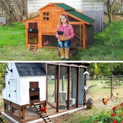 ChickGuard Pro™ Automatic Chicken House Door