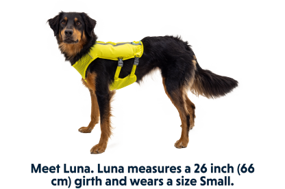 Trail Runner™ Dog Running Vest