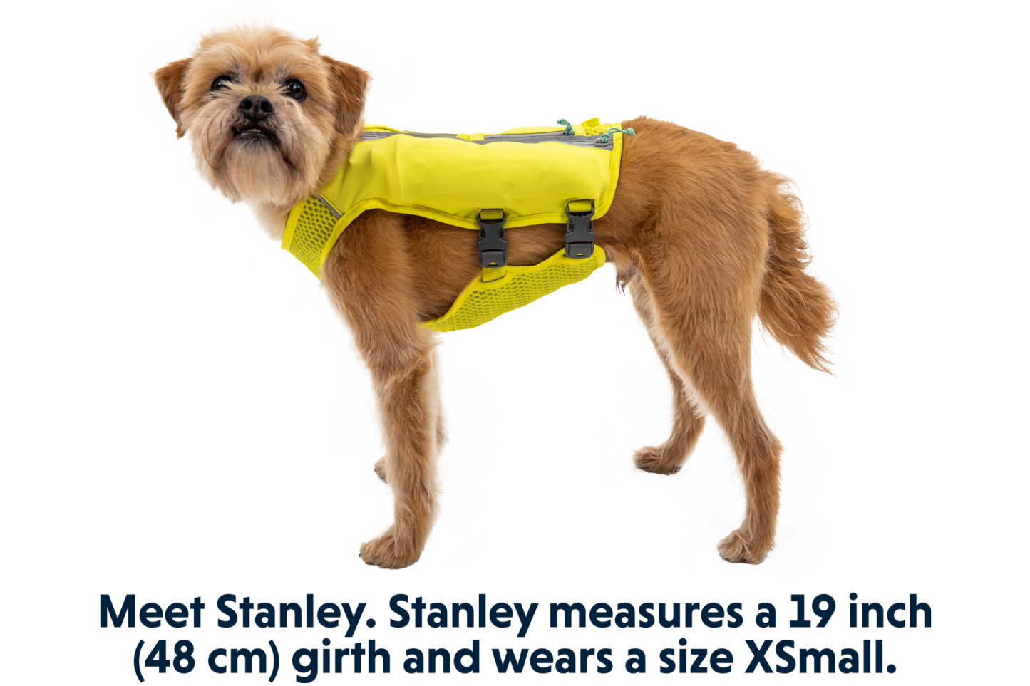 Trail Runner™ Dog Running Vest