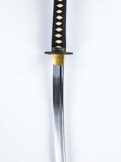 Blood Dragon Katana (1060 Carbon Steel)