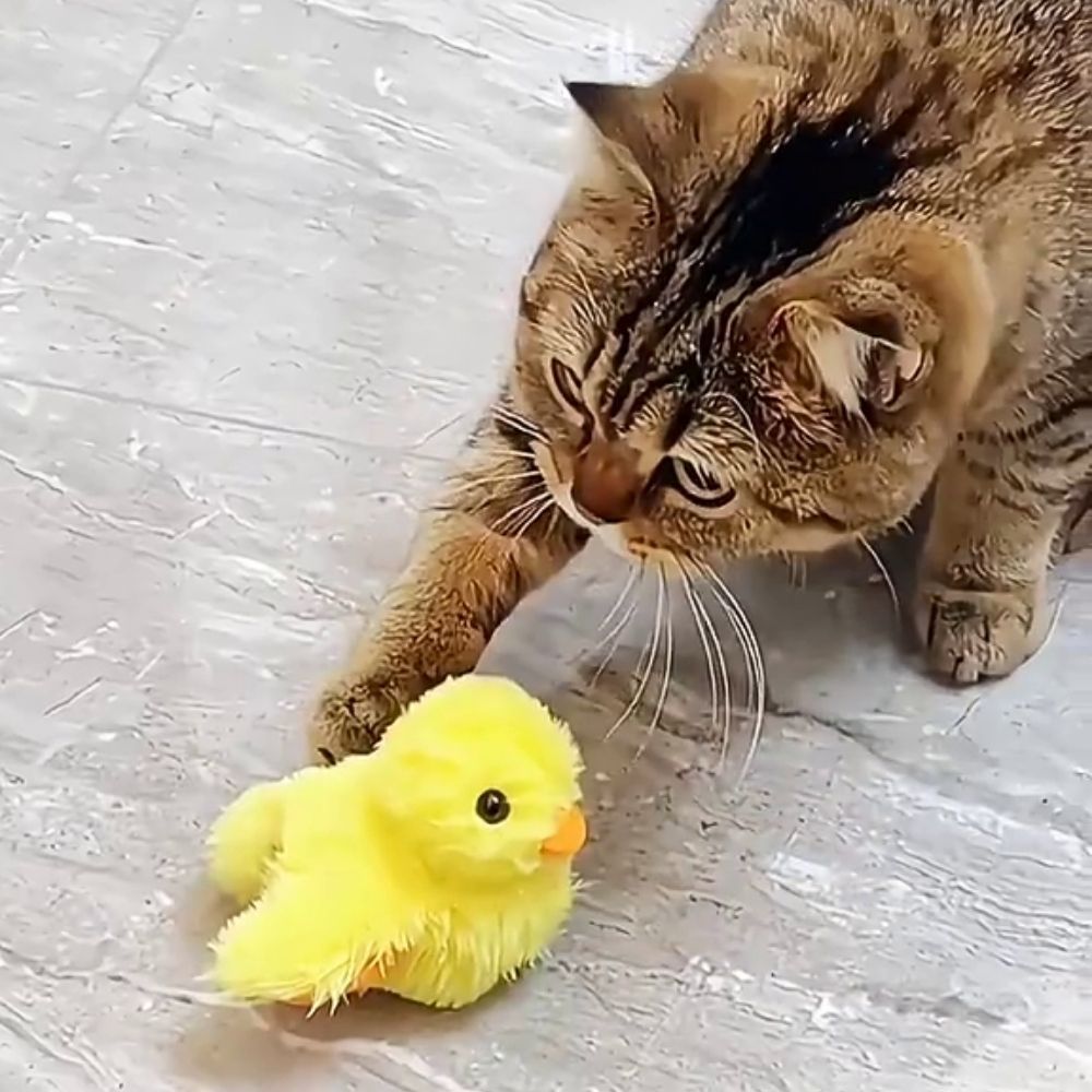 Quack Buddy™ Interactive Duck Toy