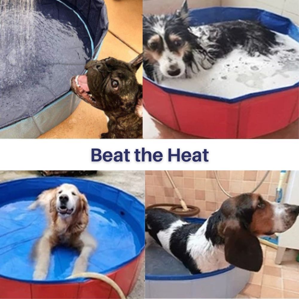 Paw Paradise™ Portable Dog Pool