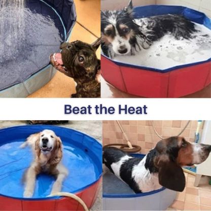 Paw Paradise™ Portable Dog Pool