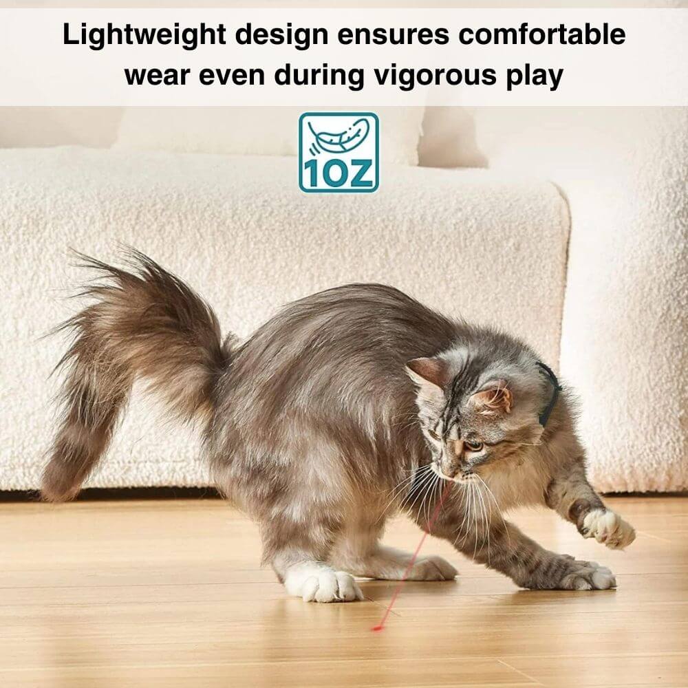 PurrPursuit™ Laser Cat Collar