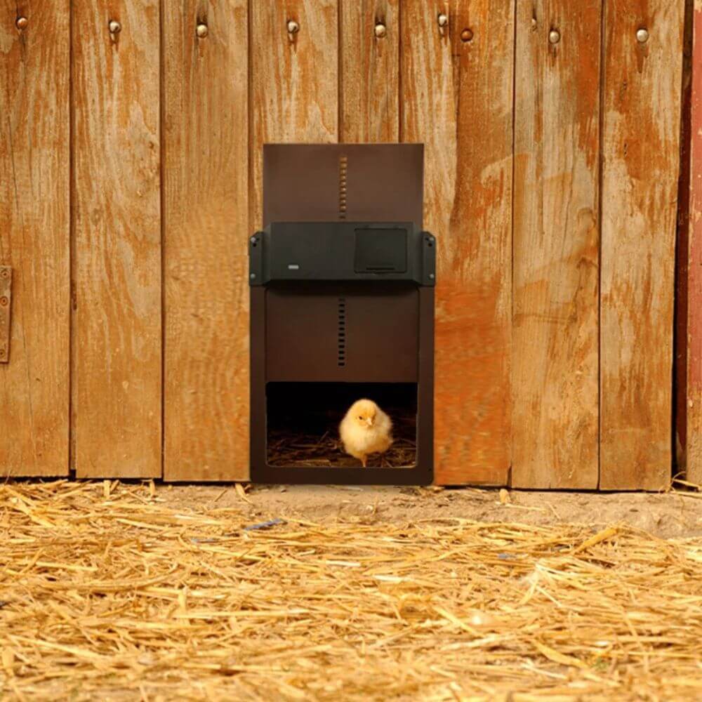 ChickGuard Pro™ Automatic Chicken House Door