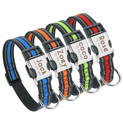Personalized Safe-At-Night Dog Collar