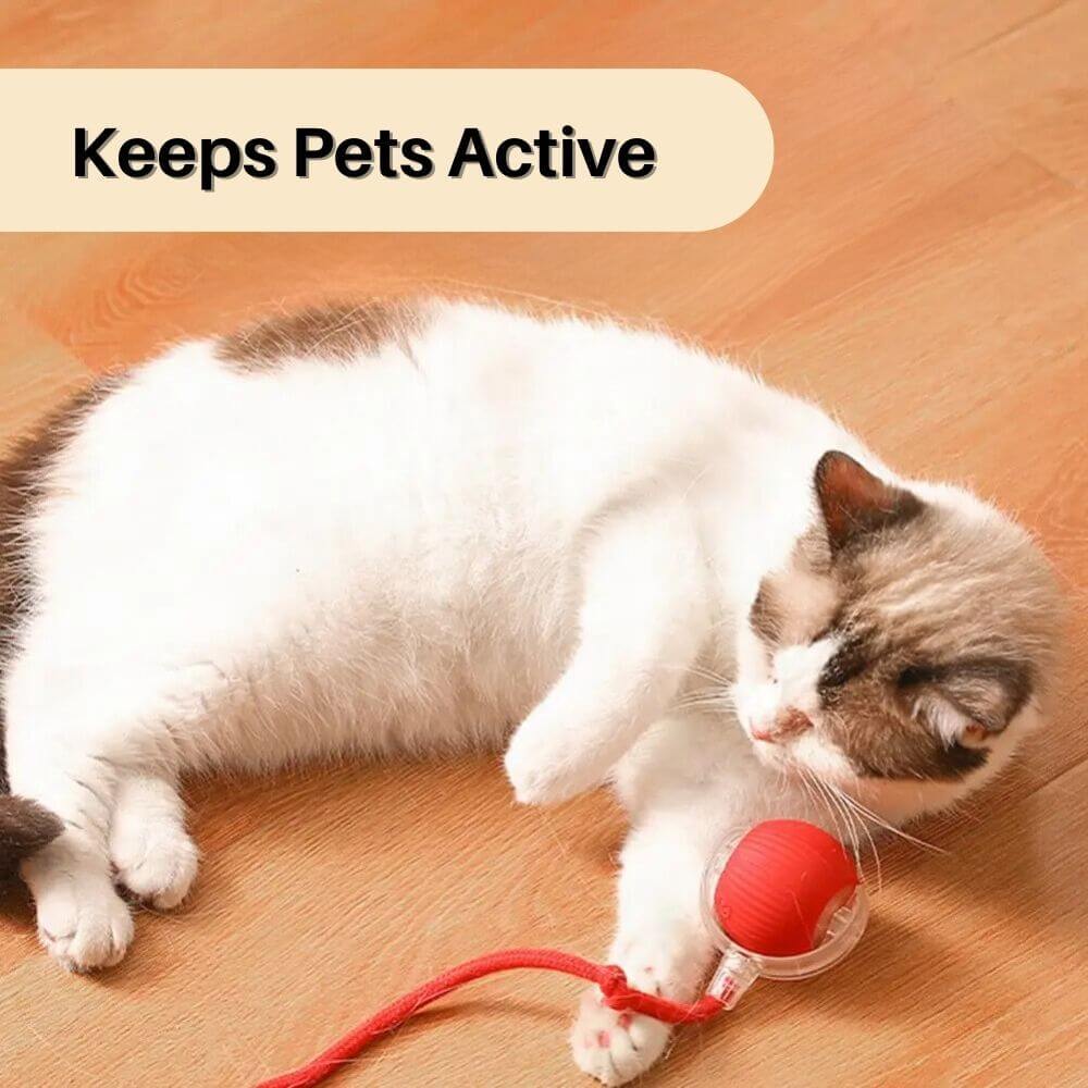 PouncePlay™ Smart Active Cat Toy