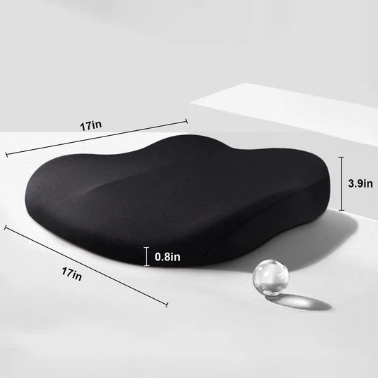 Adult Car Seat Booster