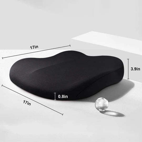 Adult Car Seat Booster