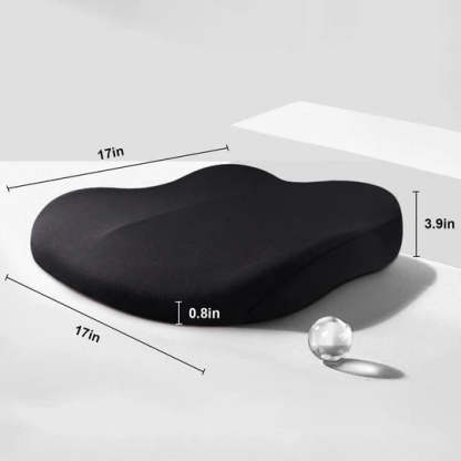 Adult Car Seat Booster