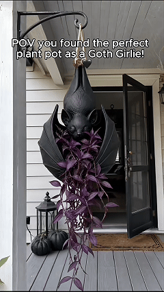 Gothic bat wall hanging planter animation display