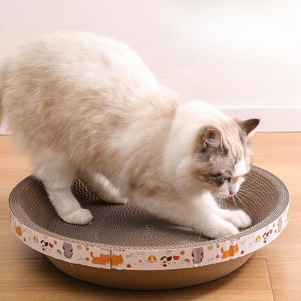 Whisker Wonderland™ Cat Bed & Scratching Board