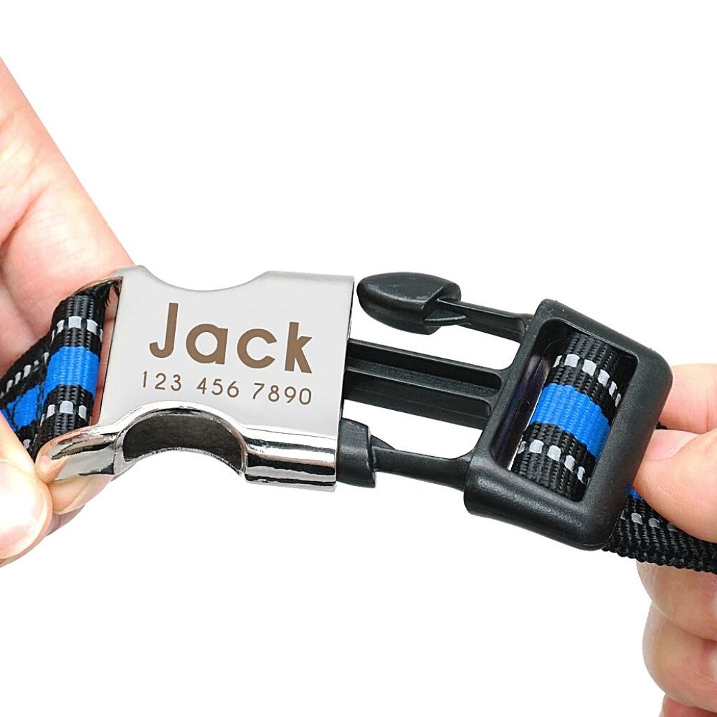 Personalized Safe-At-Night Dog Collar