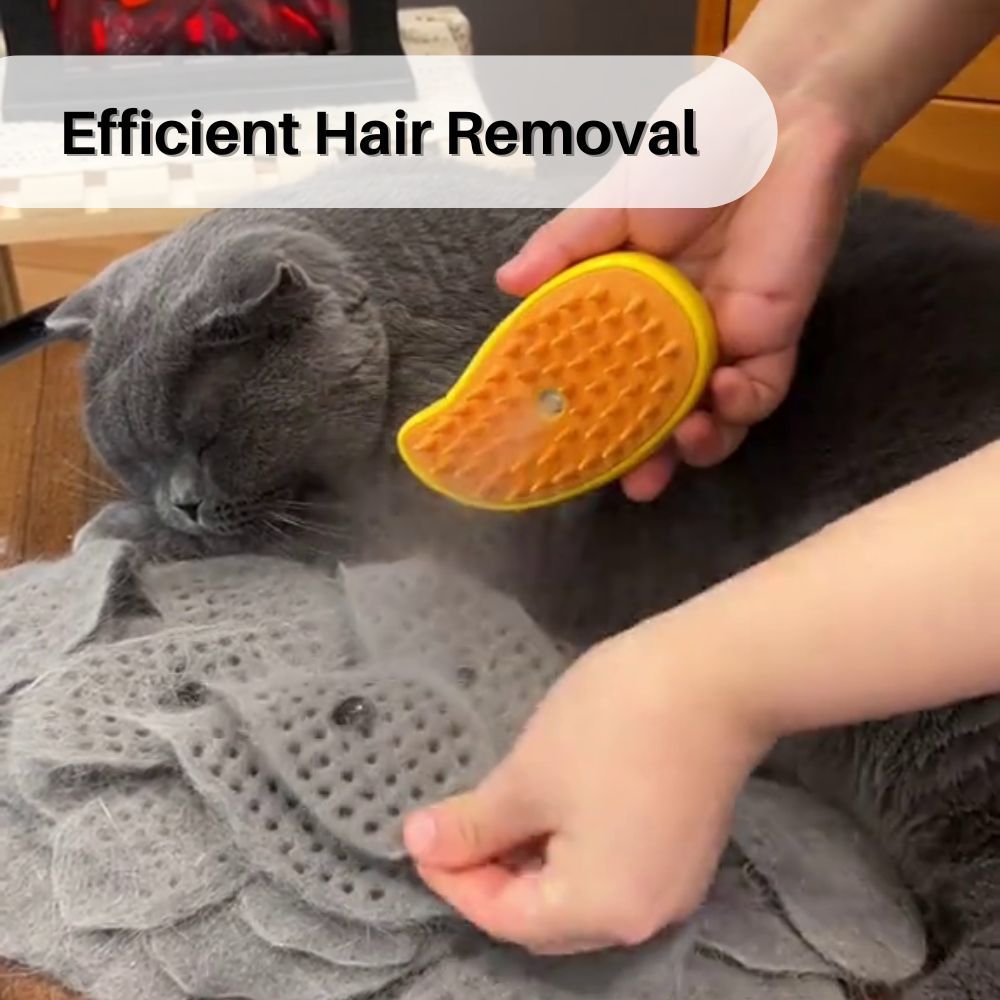 PurrSpa™ Nano Mist Cat Brush Offer