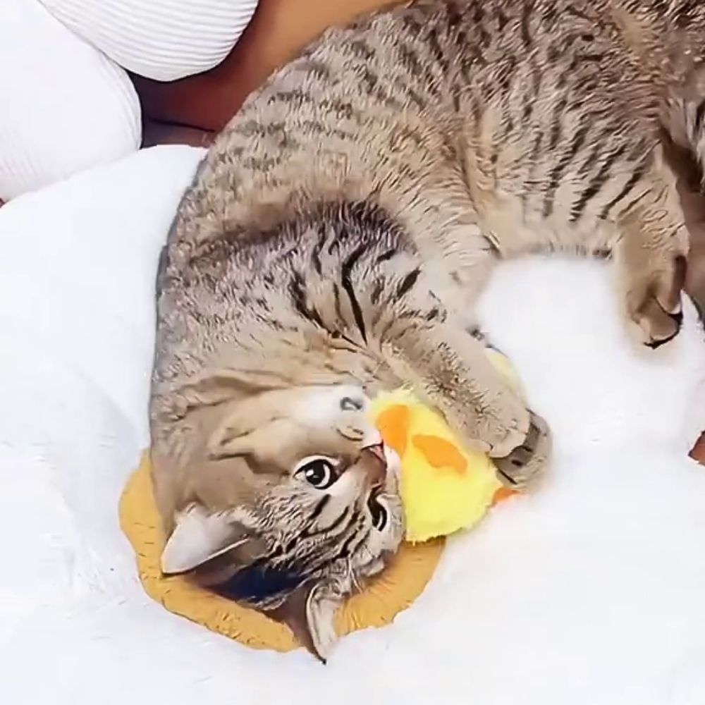 Quack Buddy™ Interactive Duck Toy