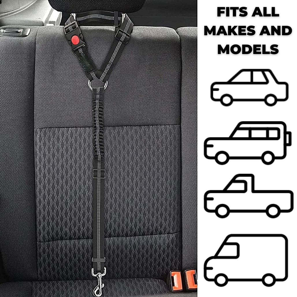 LeashBelt™ 2-In-1  Pet Seat Belt And Leash