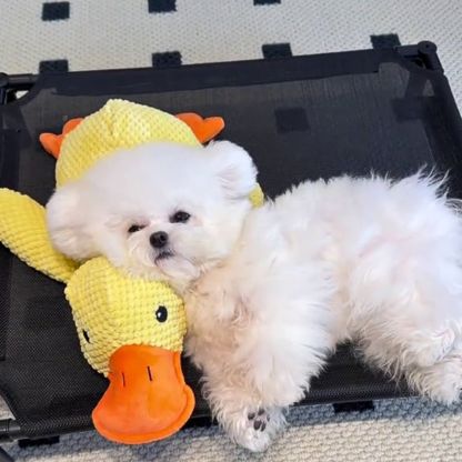 QuackPal™ Calming Duck