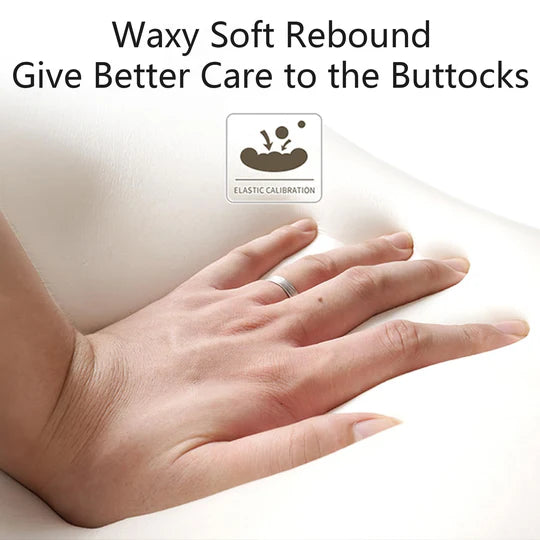 Adult Car Seat Booster