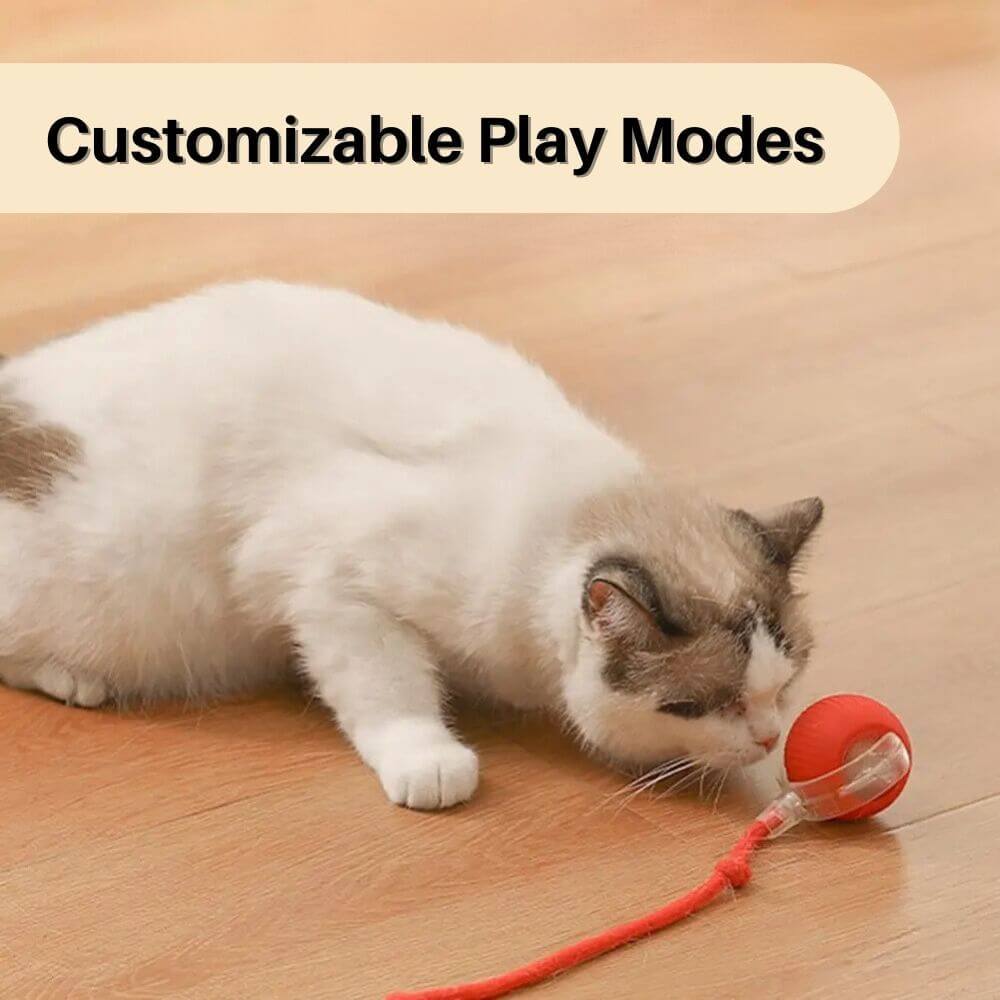 PouncePlay™ Smart Active Cat Toy
