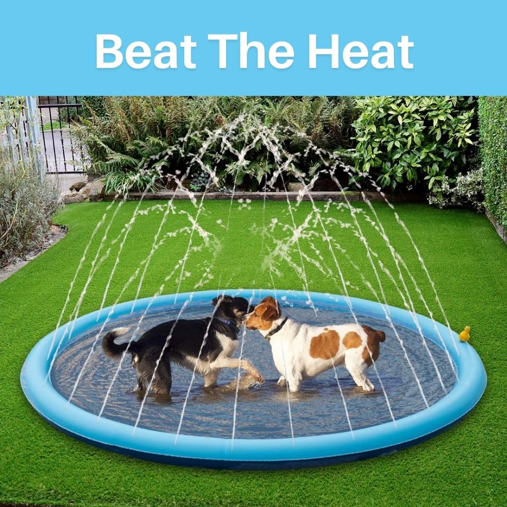 Splash-N-Wag™ Doggie Pool