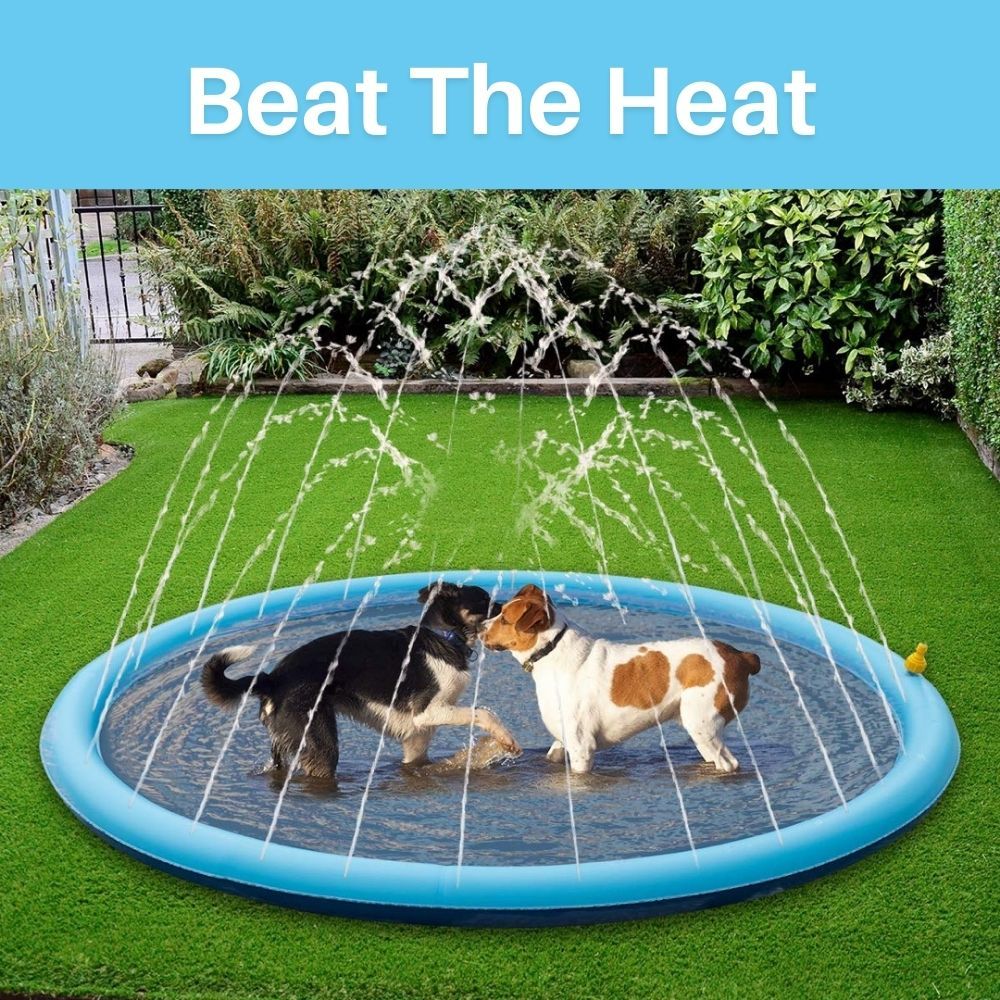 Splash-N-Wag™ Doggie Pool