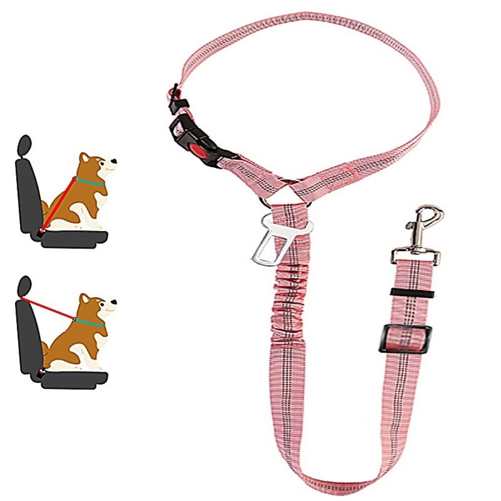 TravelBuddy™ 3-in-1 Dog Seat Belt and Leash