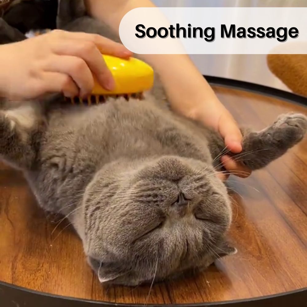 PurrSpa™ Nano Mist Cat Brush Offer