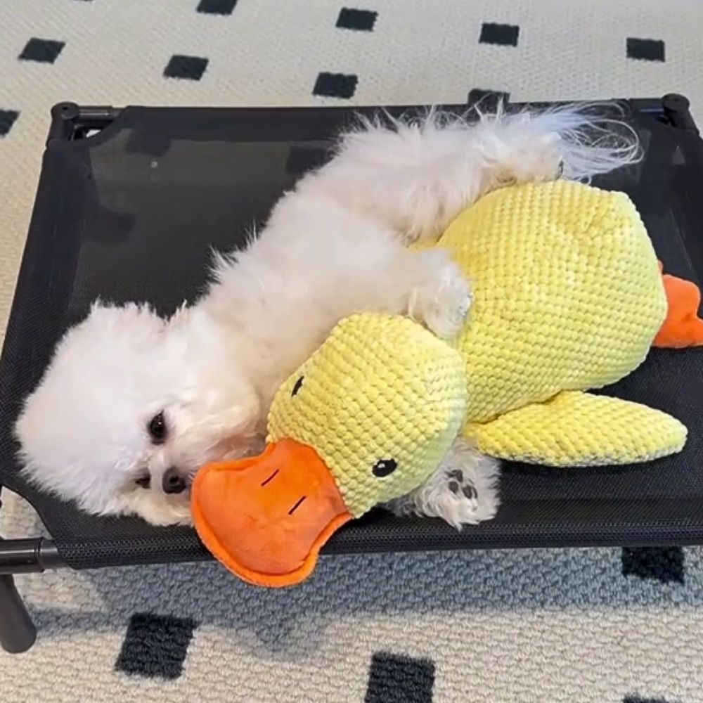 QuackPal™ Calming Duck