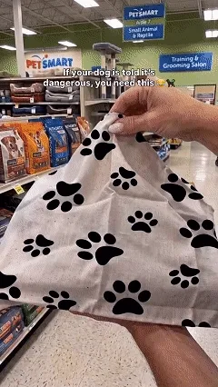 Dog wearing a hell hound monster costume muzzle