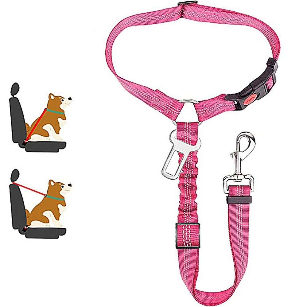 TravelBuddy™ 3-in-1 Dog Seat Belt and Leash