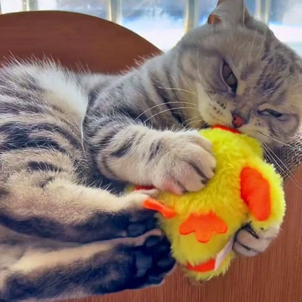 Quack Buddy™ Interactive Duck Toy