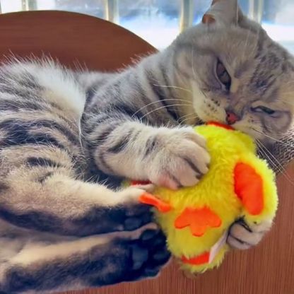 Quack Buddy™ Interactive Duck Toy